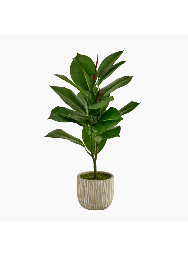 Home Box Evergreen Artificial Rubber Leaf Tree for Home - Image 4